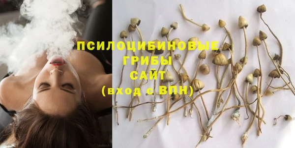 герыч Алексин